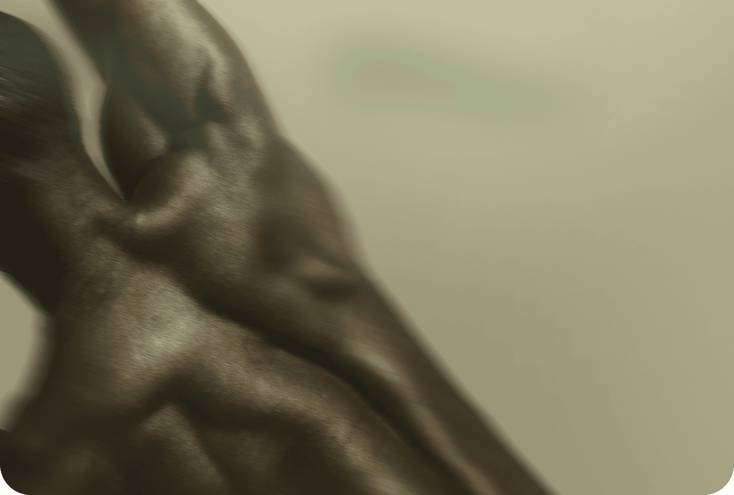 NeuroSpine homepage hero background